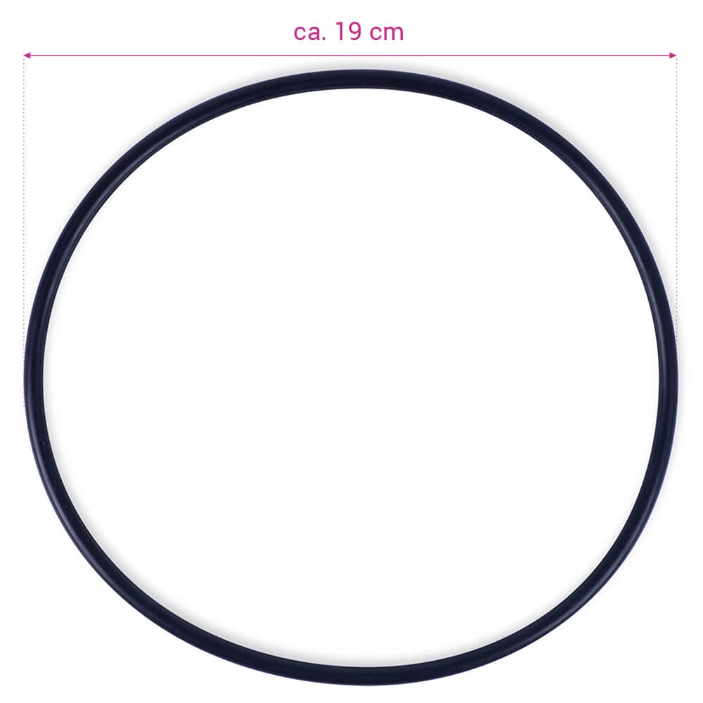 O-Ring für Pumpengehäuse Astral Sena (4405010440)