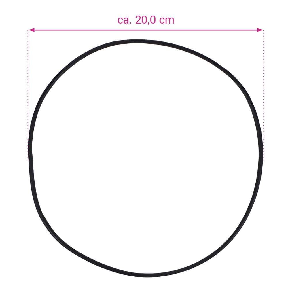 Ersatzteil O-Ring für Deckel für Filterkessel Europa