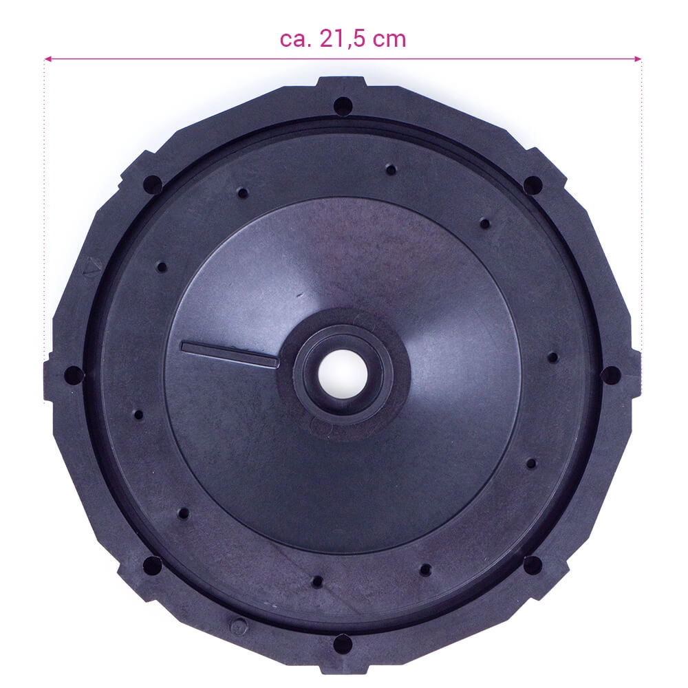 Pumpenplatte für Astral Victoria (4405010132)