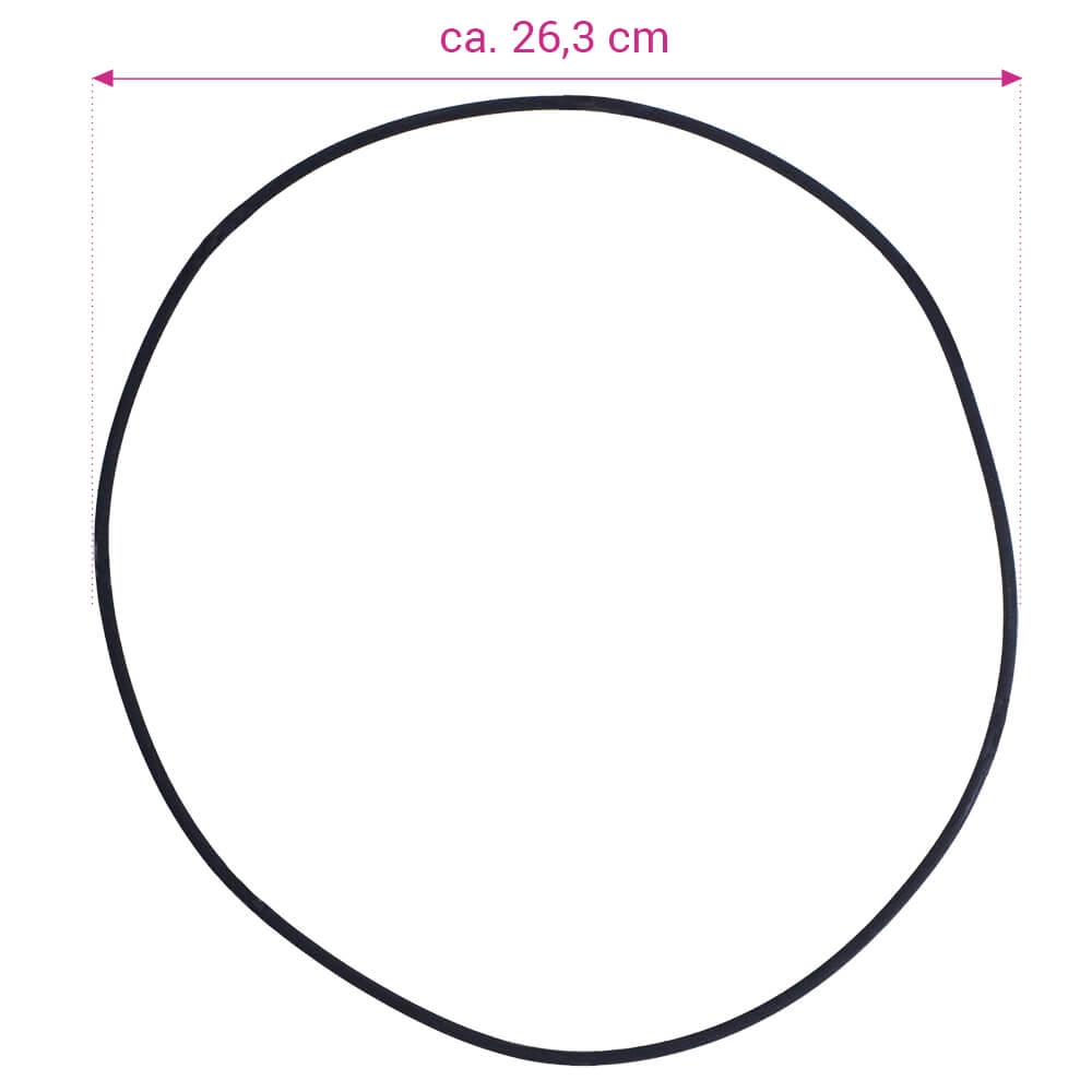 Kragen für Filterkessel Europa