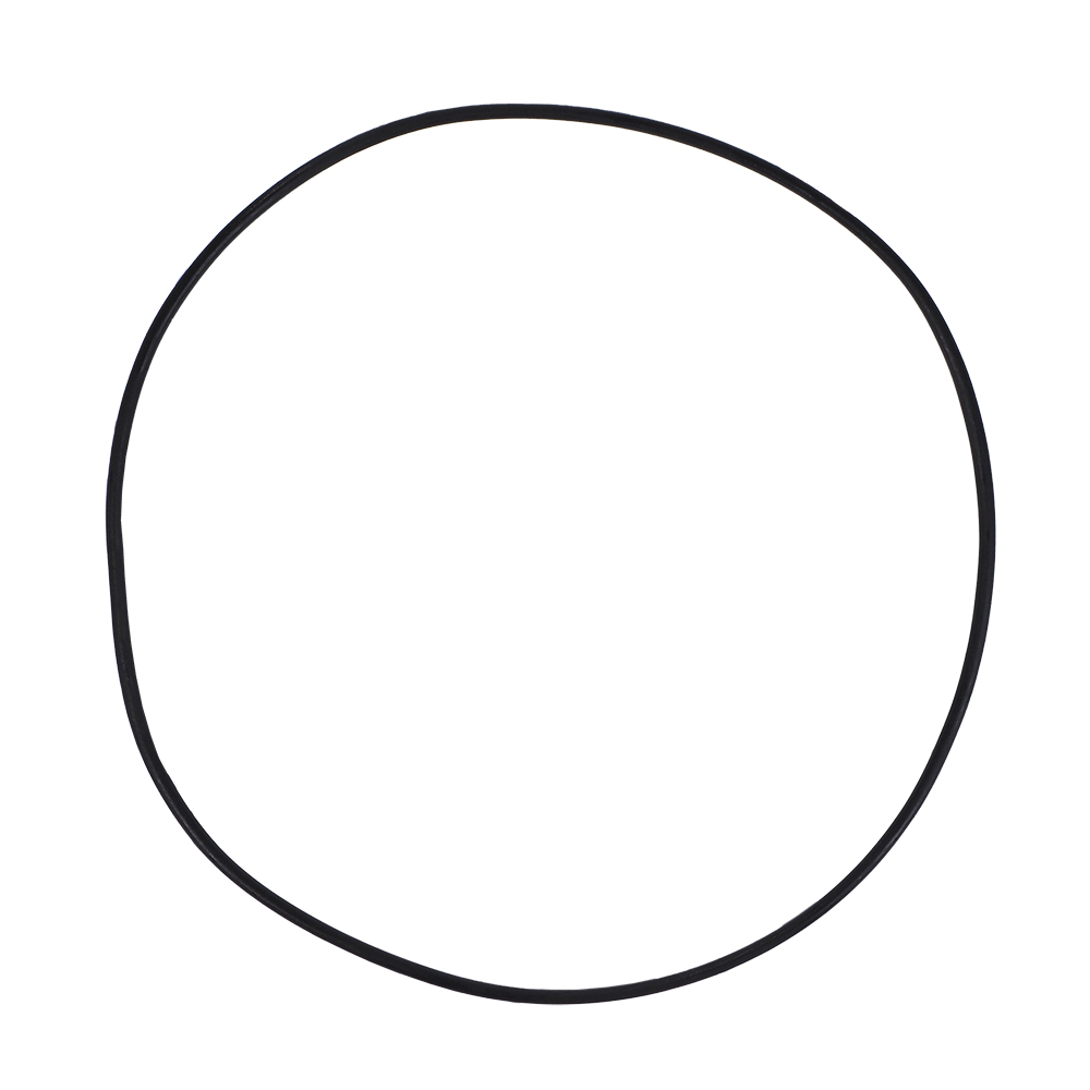 Ersatzteil O-Ring für Deckel für Filterkessel Europa