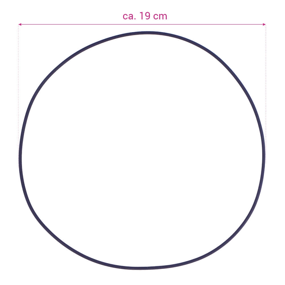 Pumpenplatte für Astral Victoria (4405010132)