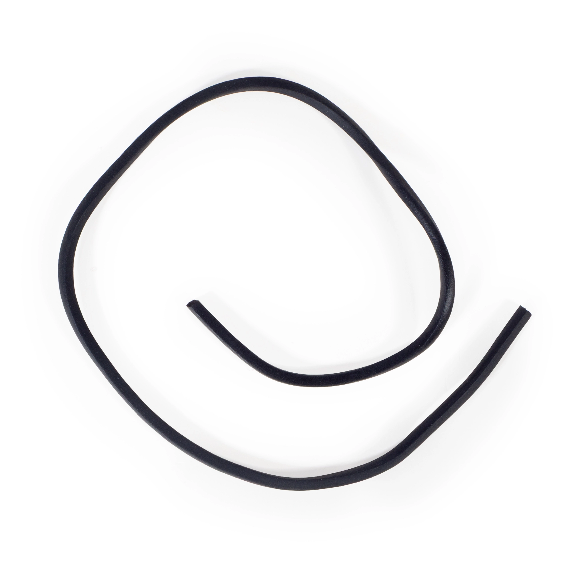 Dichtungsring für den Filterkorb für APEX Poolroboter  