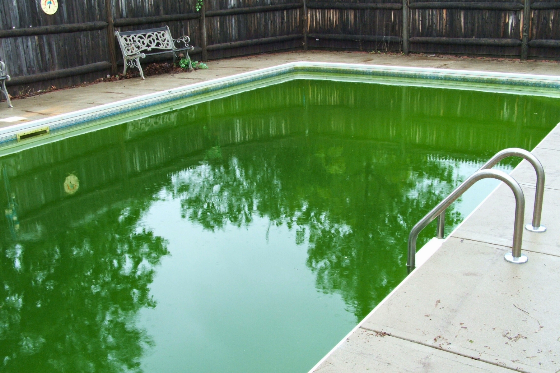 Grüner Pool mit Leiter