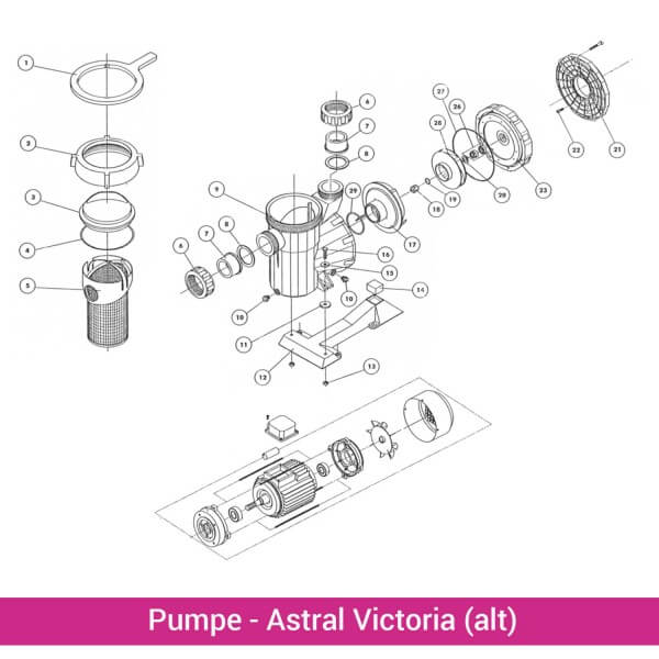Pumpengehäuse für Astral Victoria (alt)